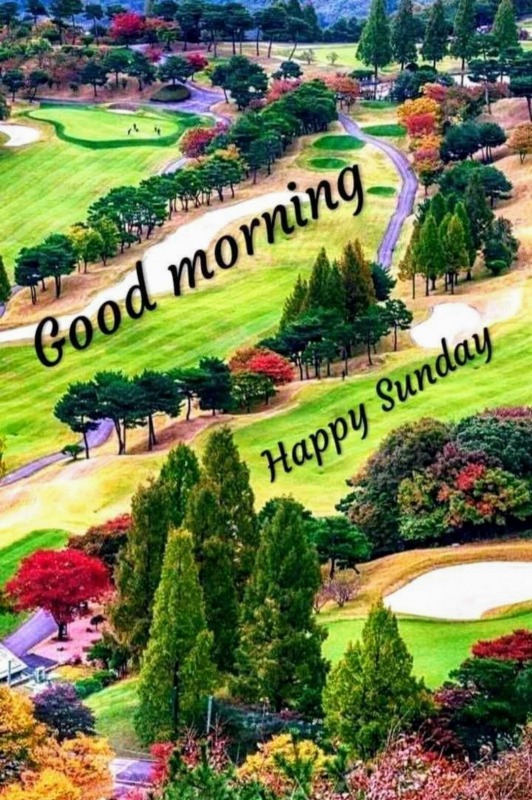 Good Morning Happy Sunday