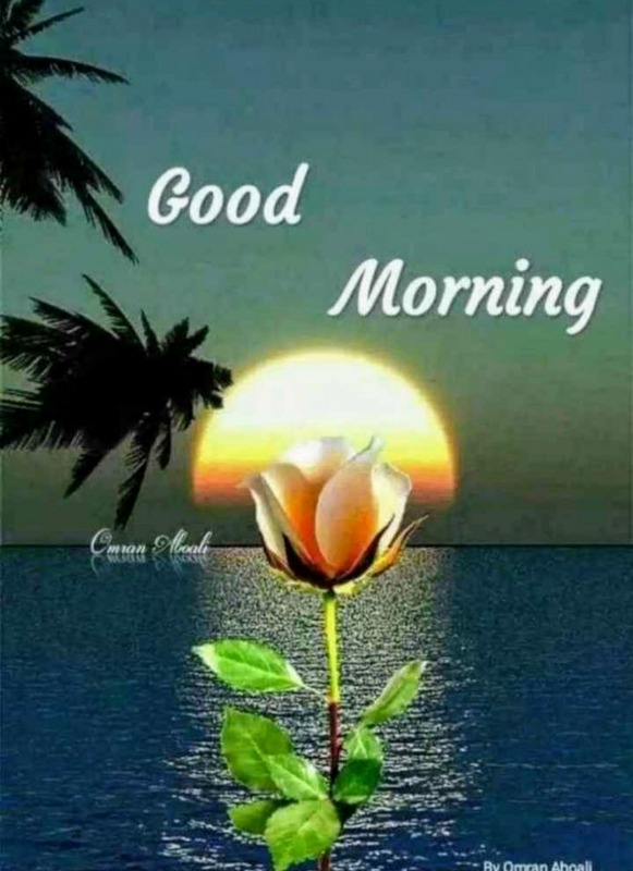 Image Of Good Morning