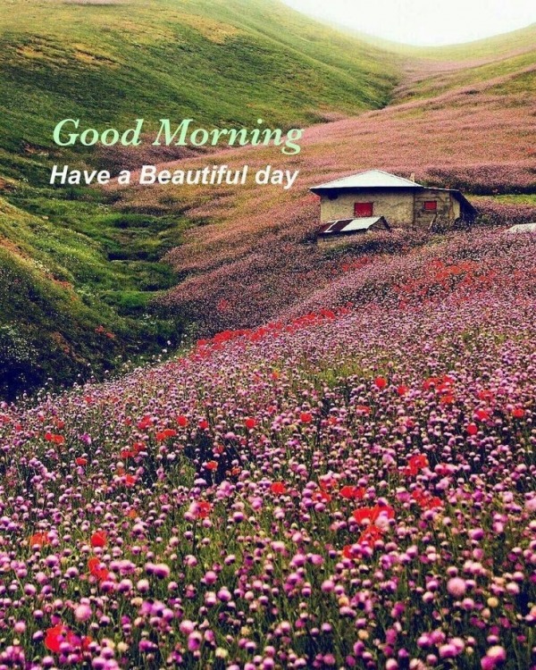 Have A Beautiful Day