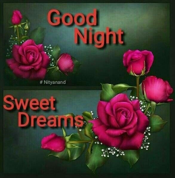 Good Night Sweet Dreams - DesiComments.com