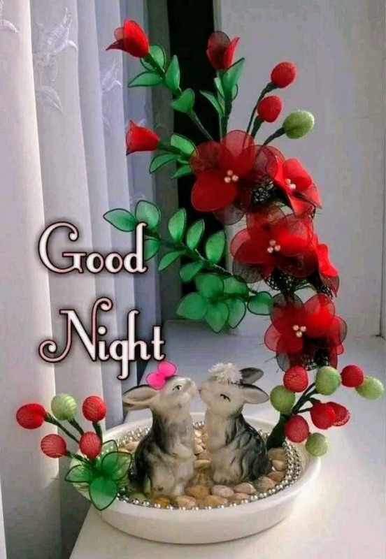 Picture Of Good Night