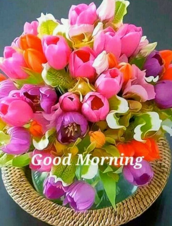 Good Morning With Colorful Flowers