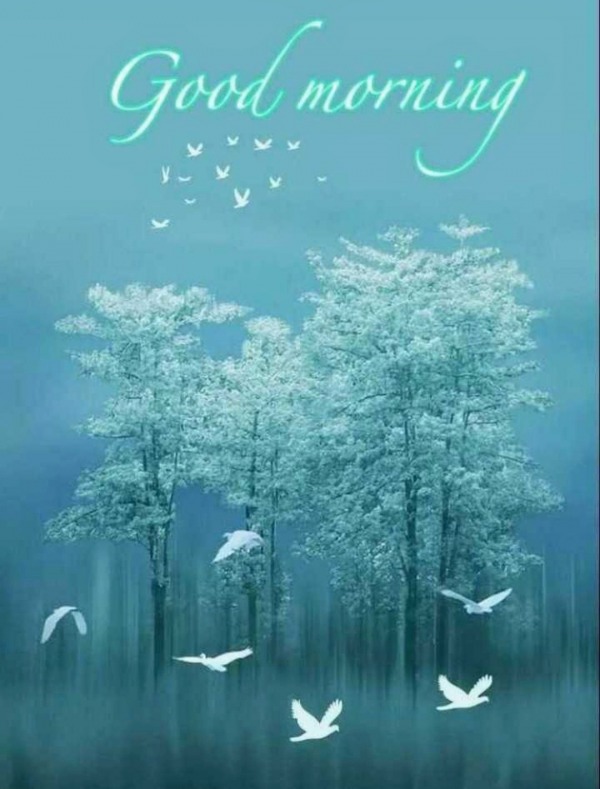 Picture Of Good Morning