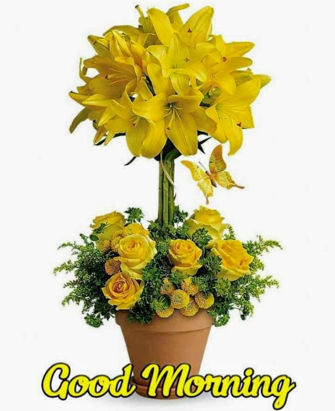 Beautiful Good Morning With Yellow Roses - DesiComments.com
