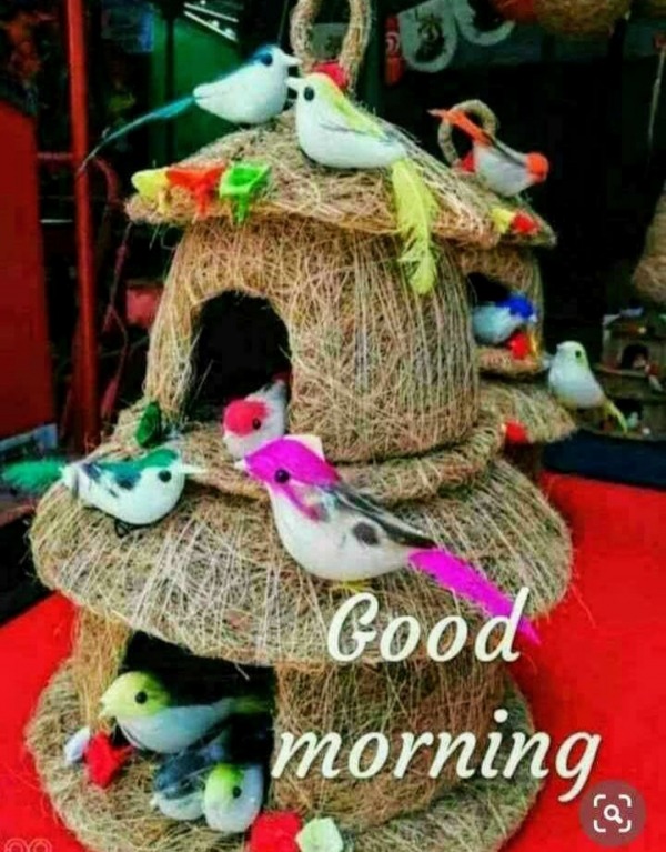 Lovely Good Morning Picture