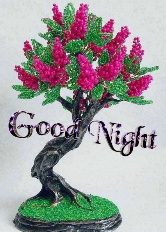 Lovely Good Night Picture