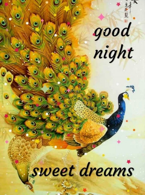 Image Of Good Night