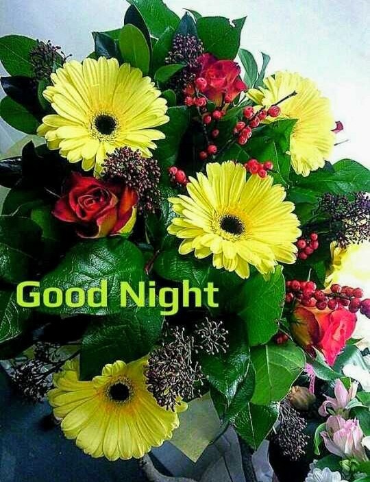 Good Night With Amazing Flowers - DesiComments.com