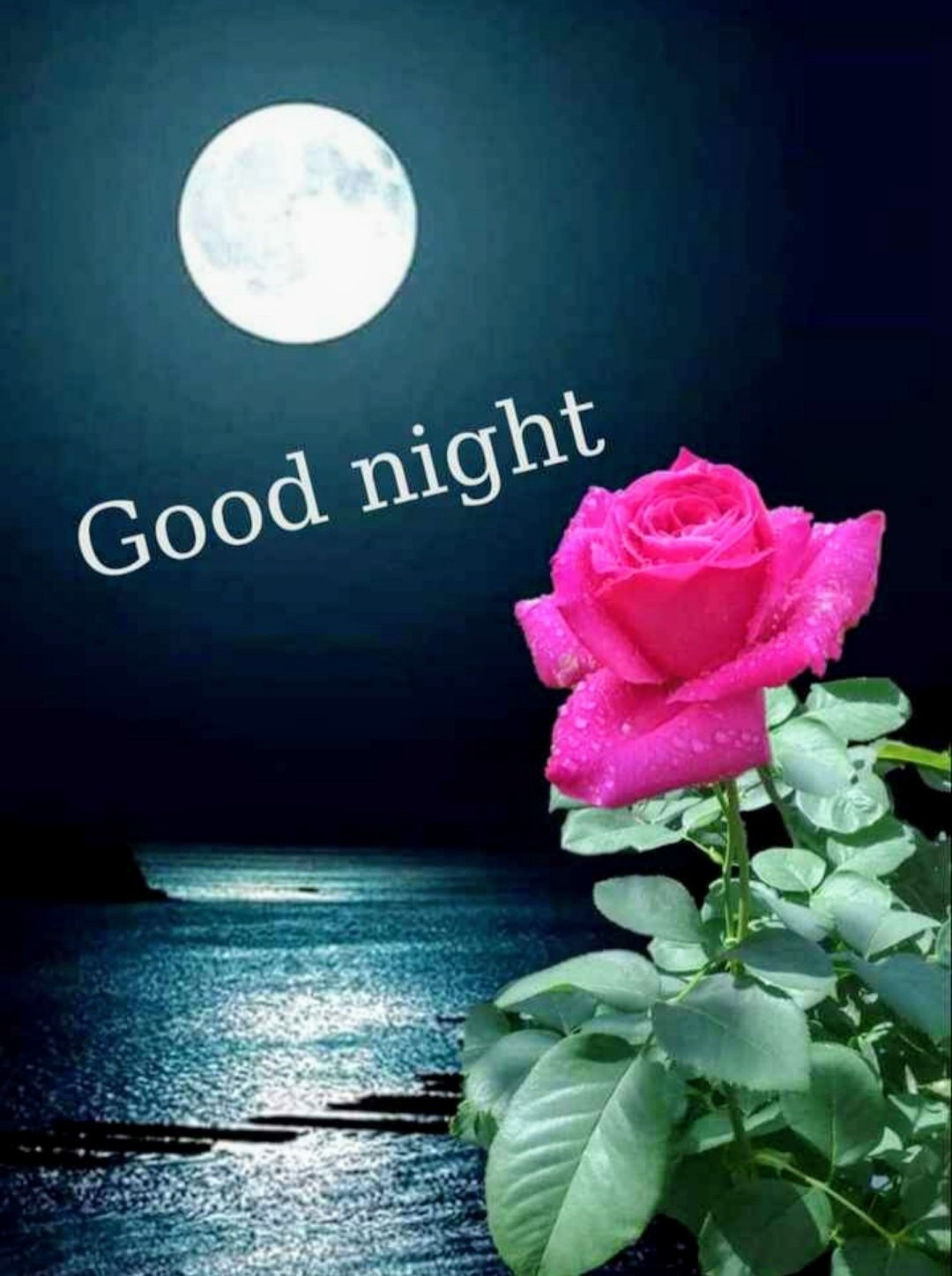 Good Night Pictures Images Graphics