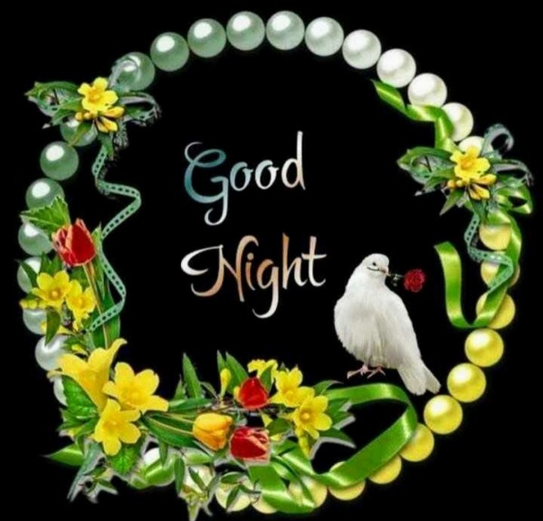 Photo Of Good Night