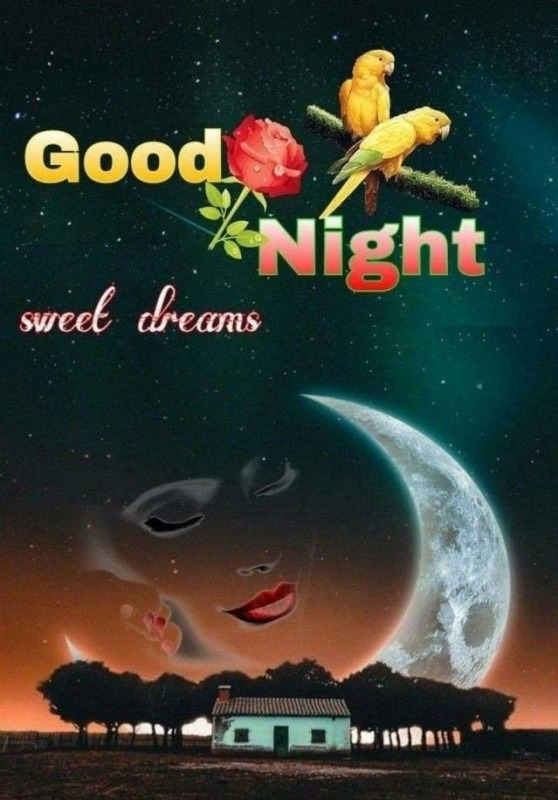 Good Night Sweet Dreams