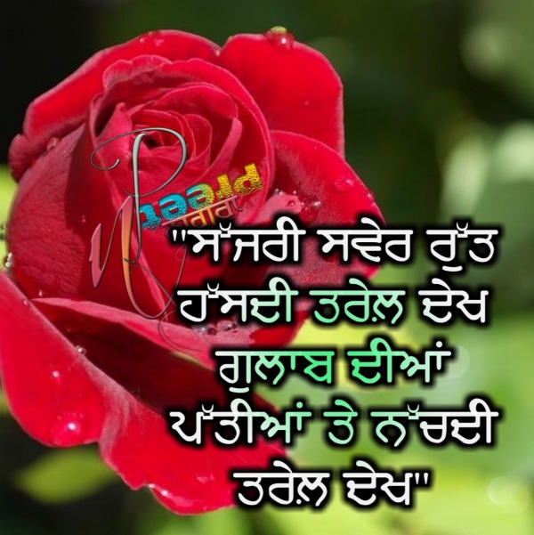 Punjabi Quote..........Sajre Swere