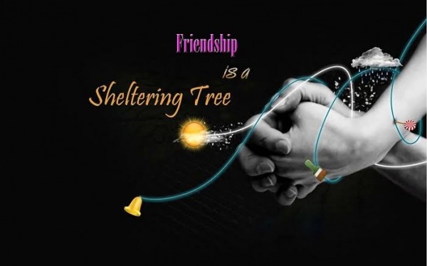 Friendship Is A Sheltering Tree