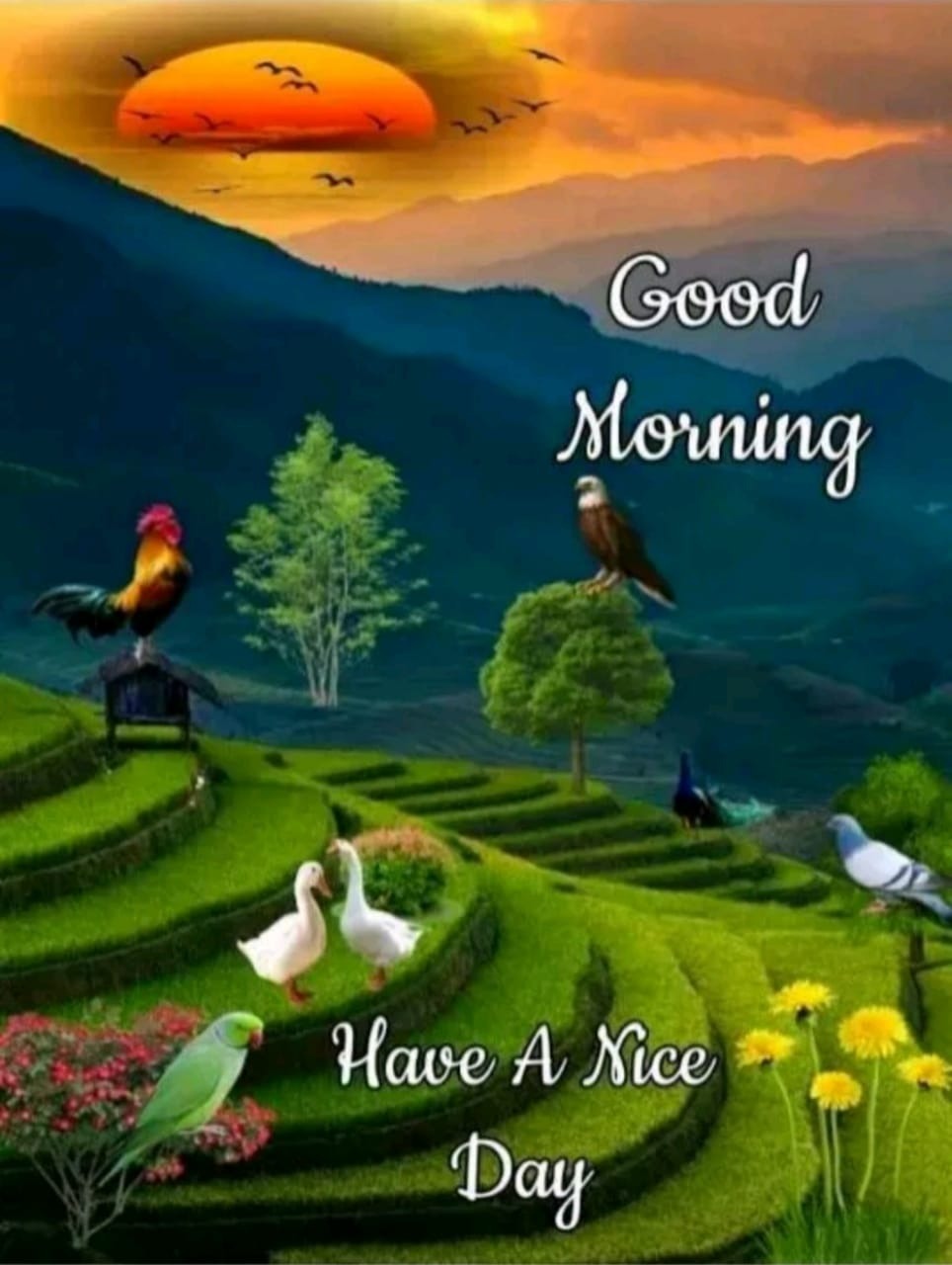 Have A Nice Day - DesiComments.com
