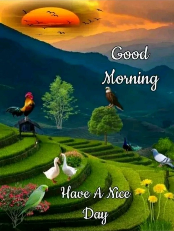 Have A Nice Day