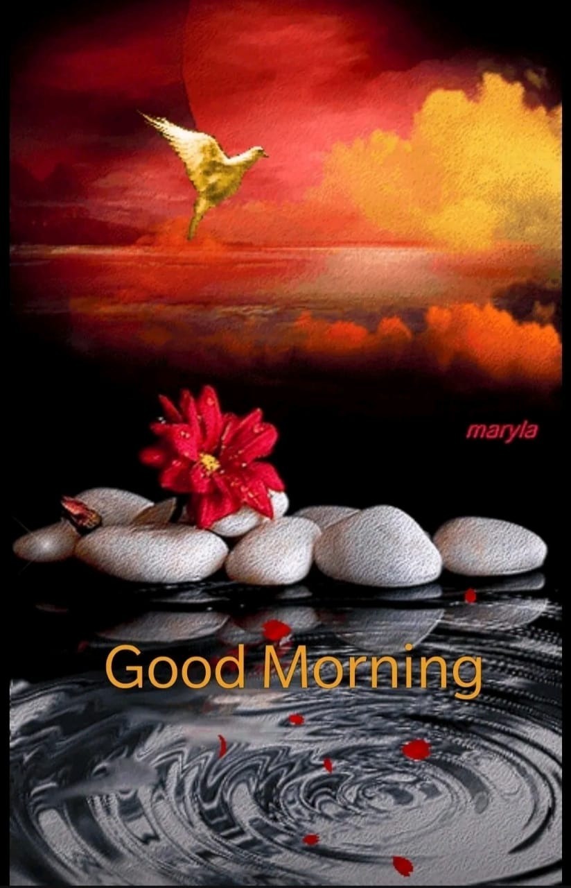 Good Morning Pictures, Images, Graphics