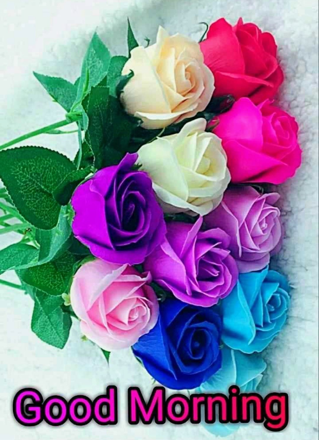 Good Morning With Colorful Roses - DesiComments.com