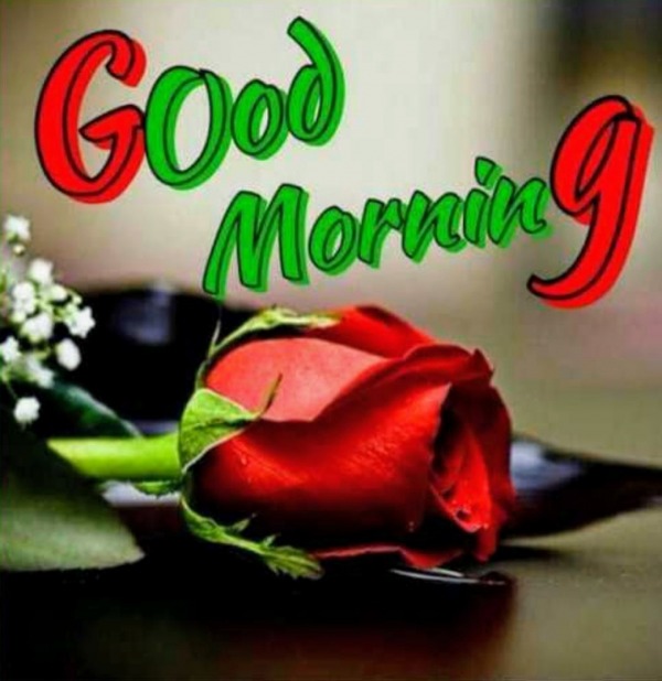 Featured image of post Good Morning Pichar Did you have a good morning today