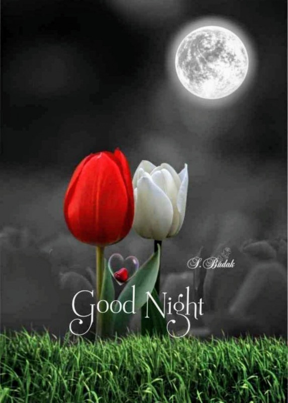 Great Image Of Good Night