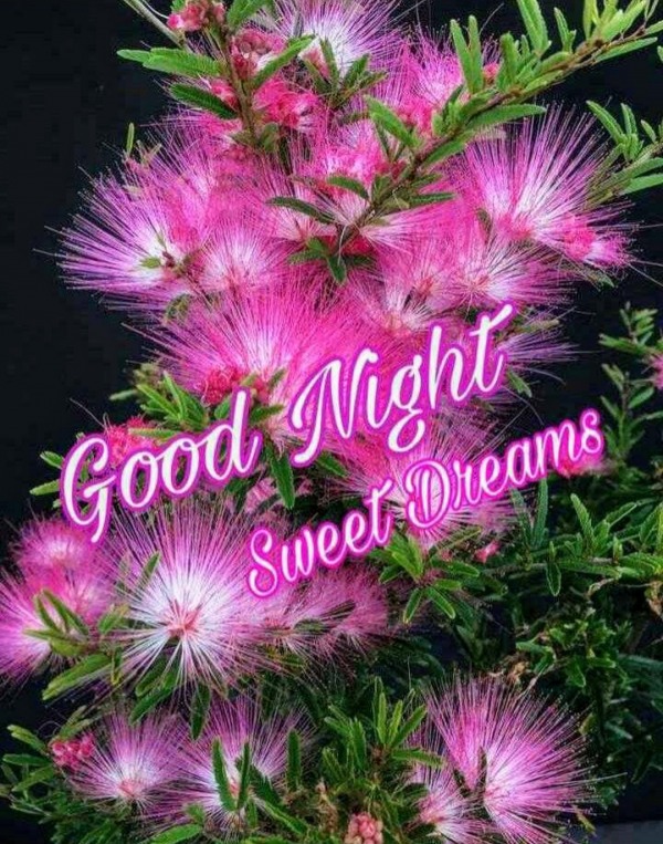 Wishing Good Night