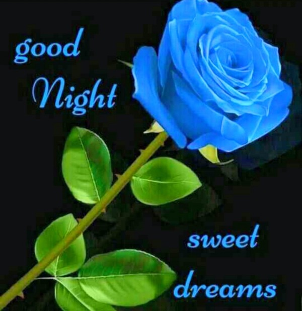 Wishing A Good Night