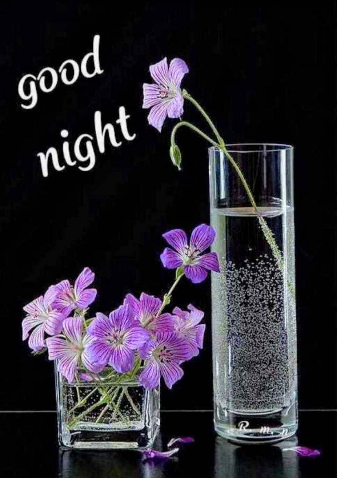 Beautiful Good Night Image - DesiComments.com