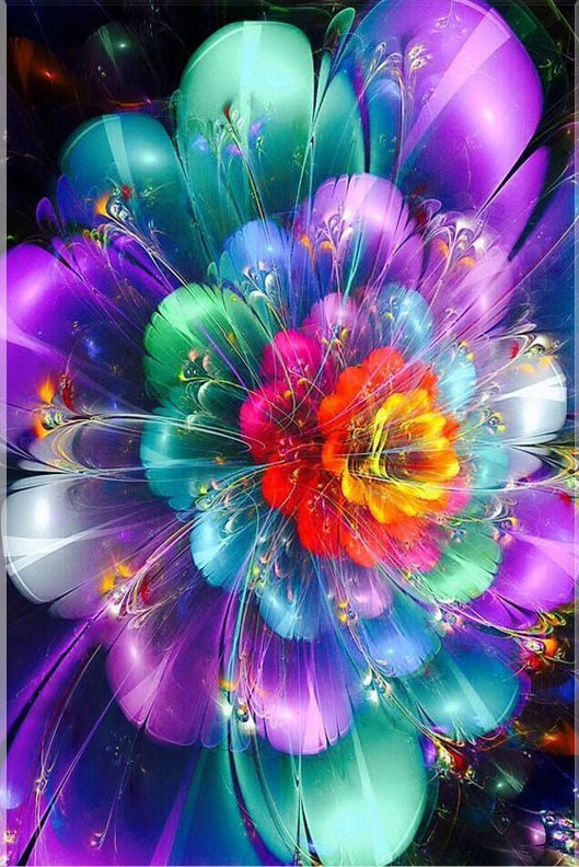 Beautiful Image Of Lighting Flower