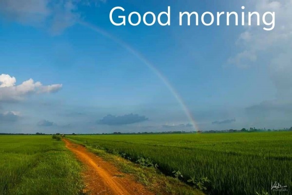 Photo Of Good Morning