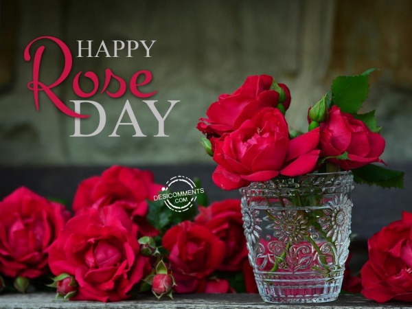 Happy Rose Day