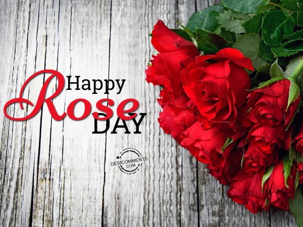 Wish you a very happy rose day