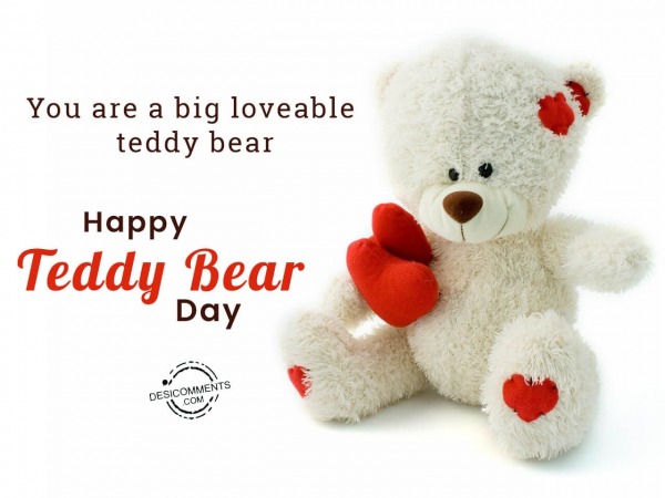 You are a big loveable teddy bear