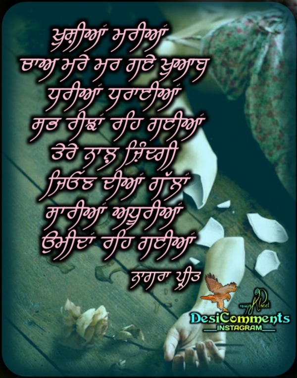 Thought Of Punjabi........Khushiyan Mariyaan 