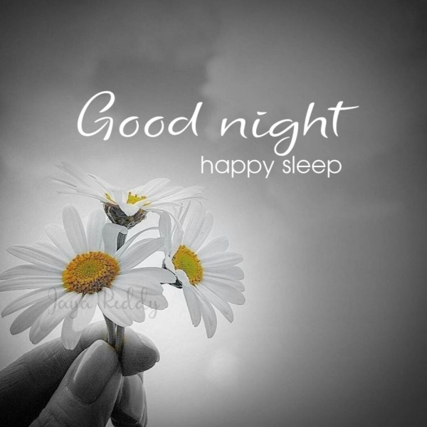 Good Night Have Sleep