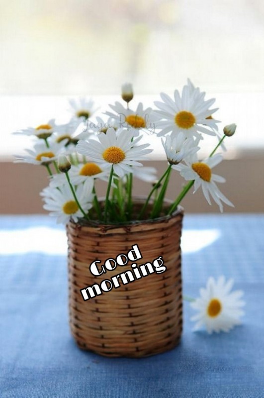 Good Morning Picture With Flowers