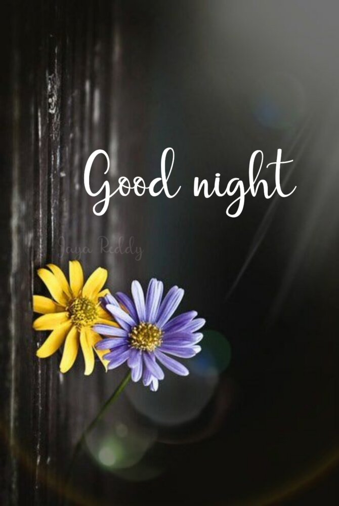 Amazing Good Night Picture - DesiComments.com