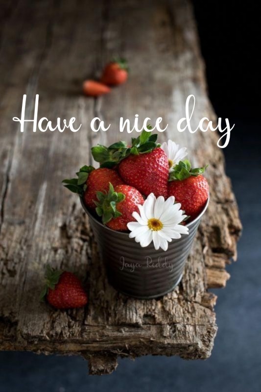 Have A Nice Day