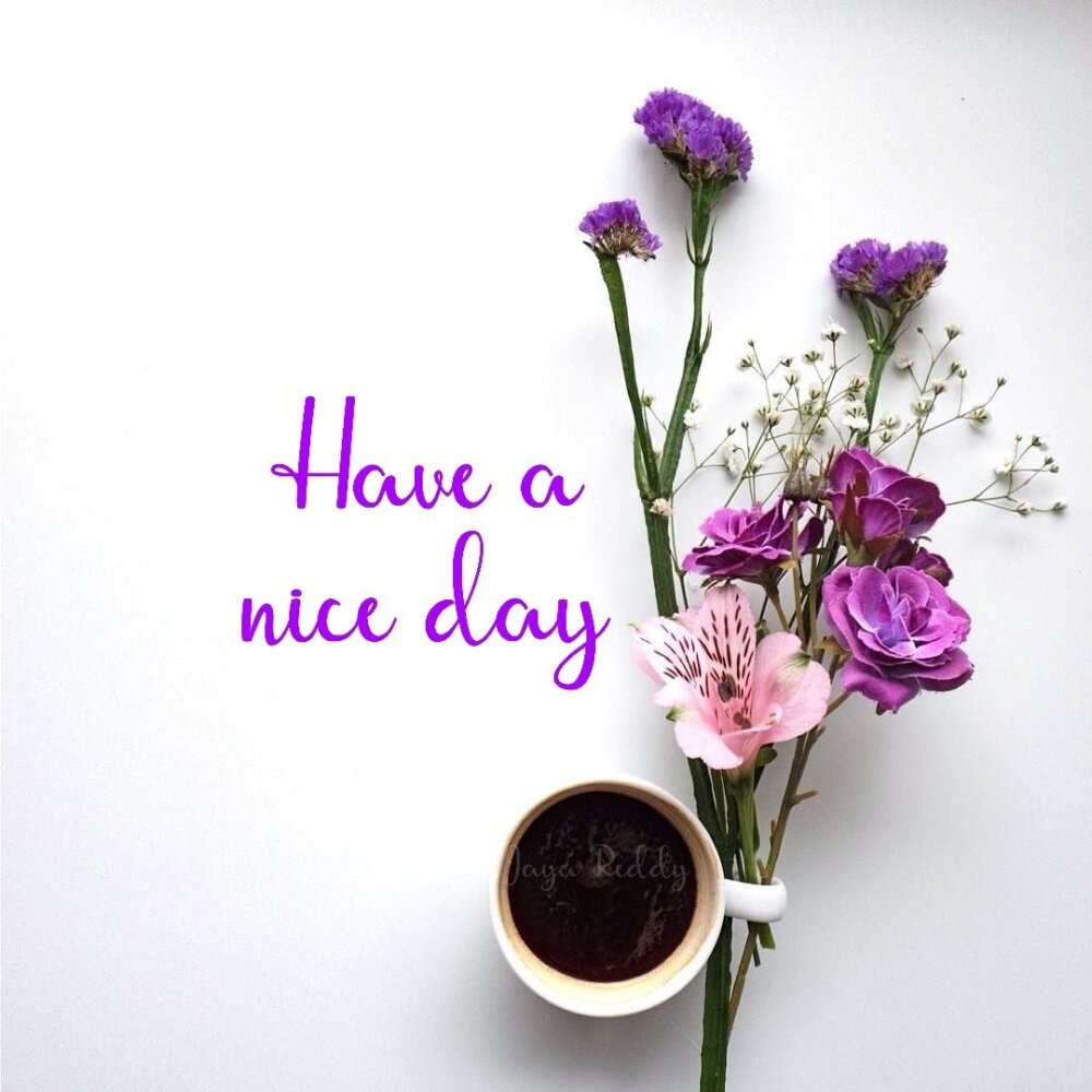Have A Nice Day - DesiComments.com