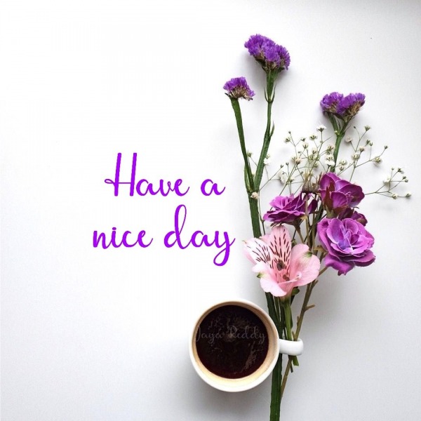 Have A Nice Day