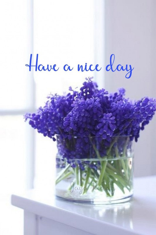 Have A Nice Day