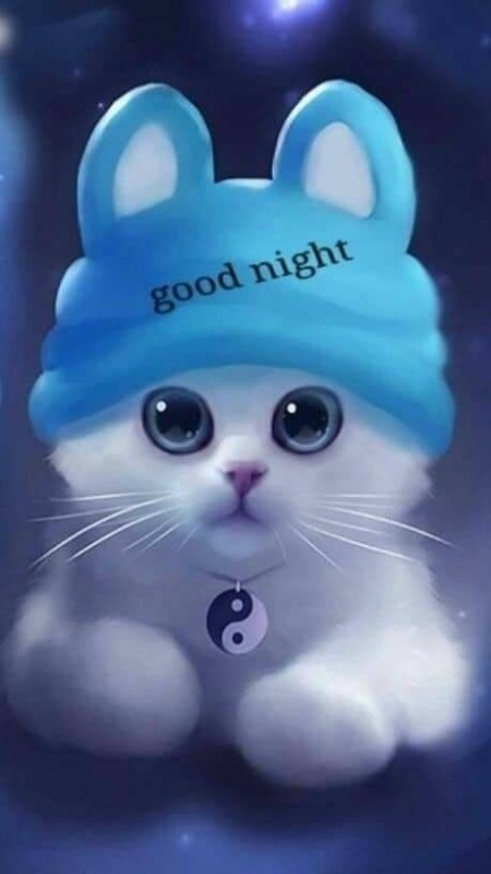 Good Night Kitty