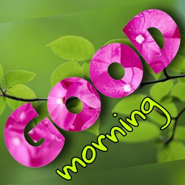 Pic Of Good Morning