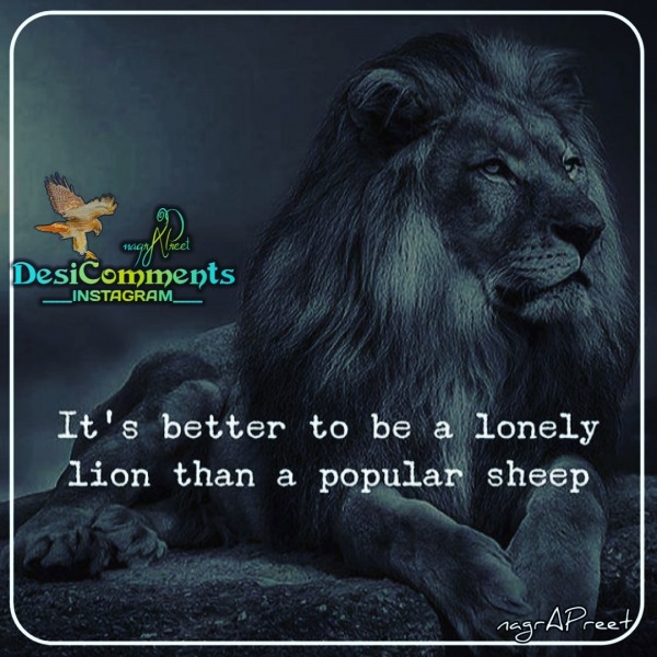 Its Better To Be A Lonely Lion