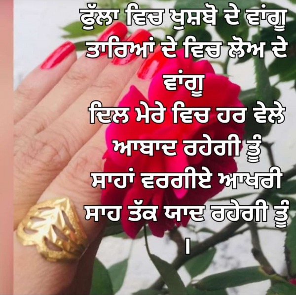 Saha Vargeye