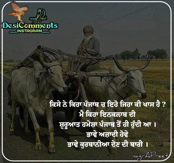 Kise Ne Keha Punjab Ch