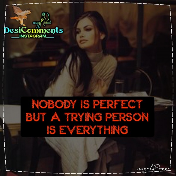 Nobody Is Perfect