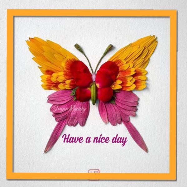 Have A Nice Day