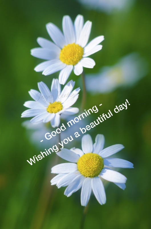 Wishing You A Beautiful Day