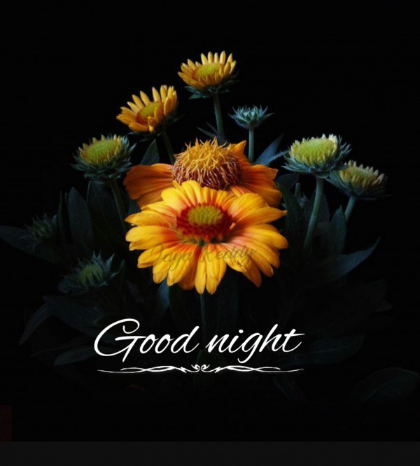 Image Of Good Night