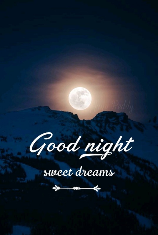 Good Night Sweet Dreams