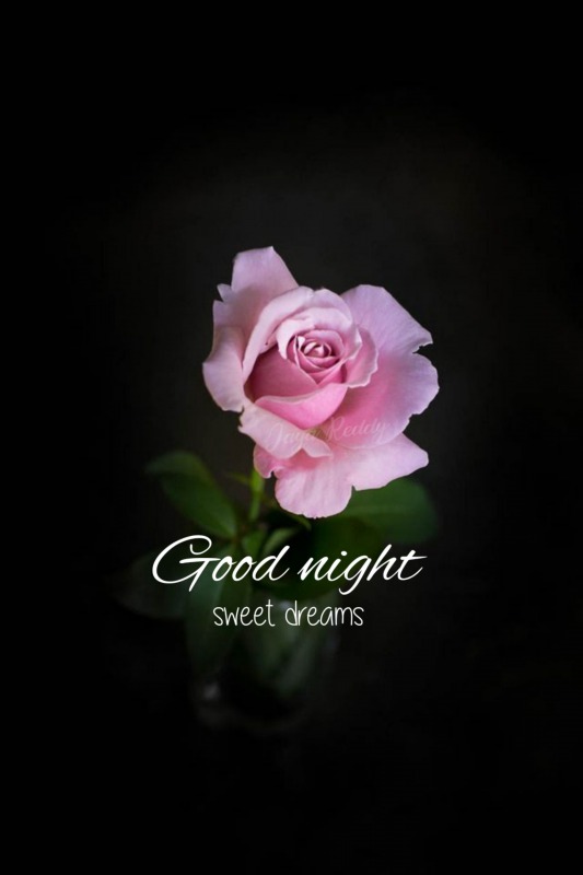 Good Night Sweet Dreams - Desi Comments